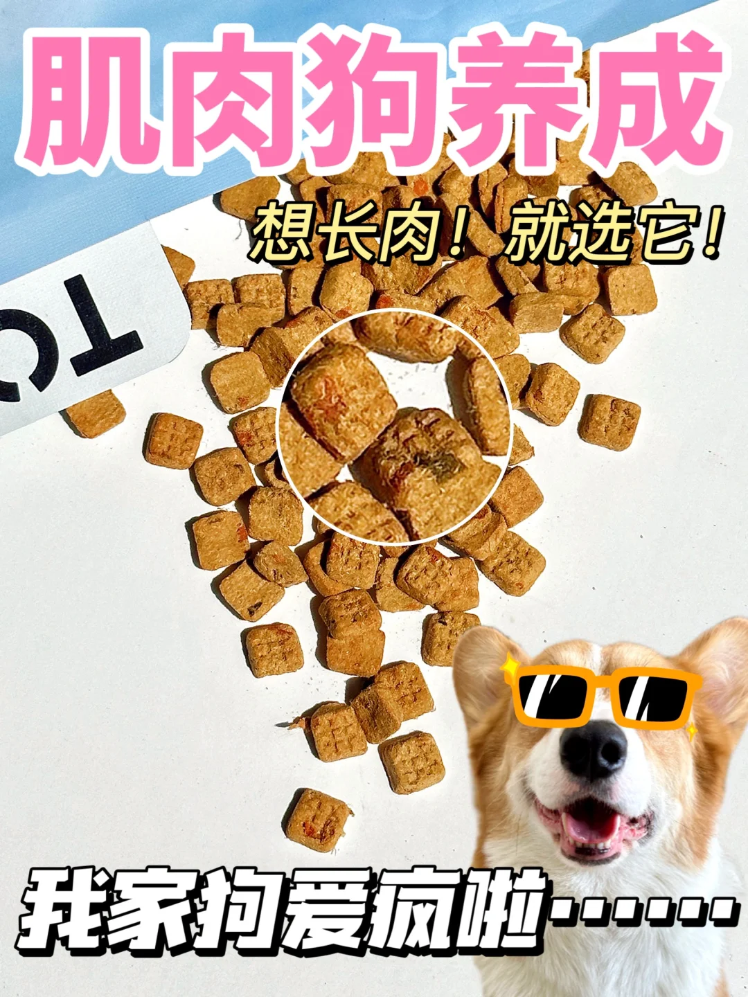 这狗粮直接把肉肉焊身上！我请问谁不心动？