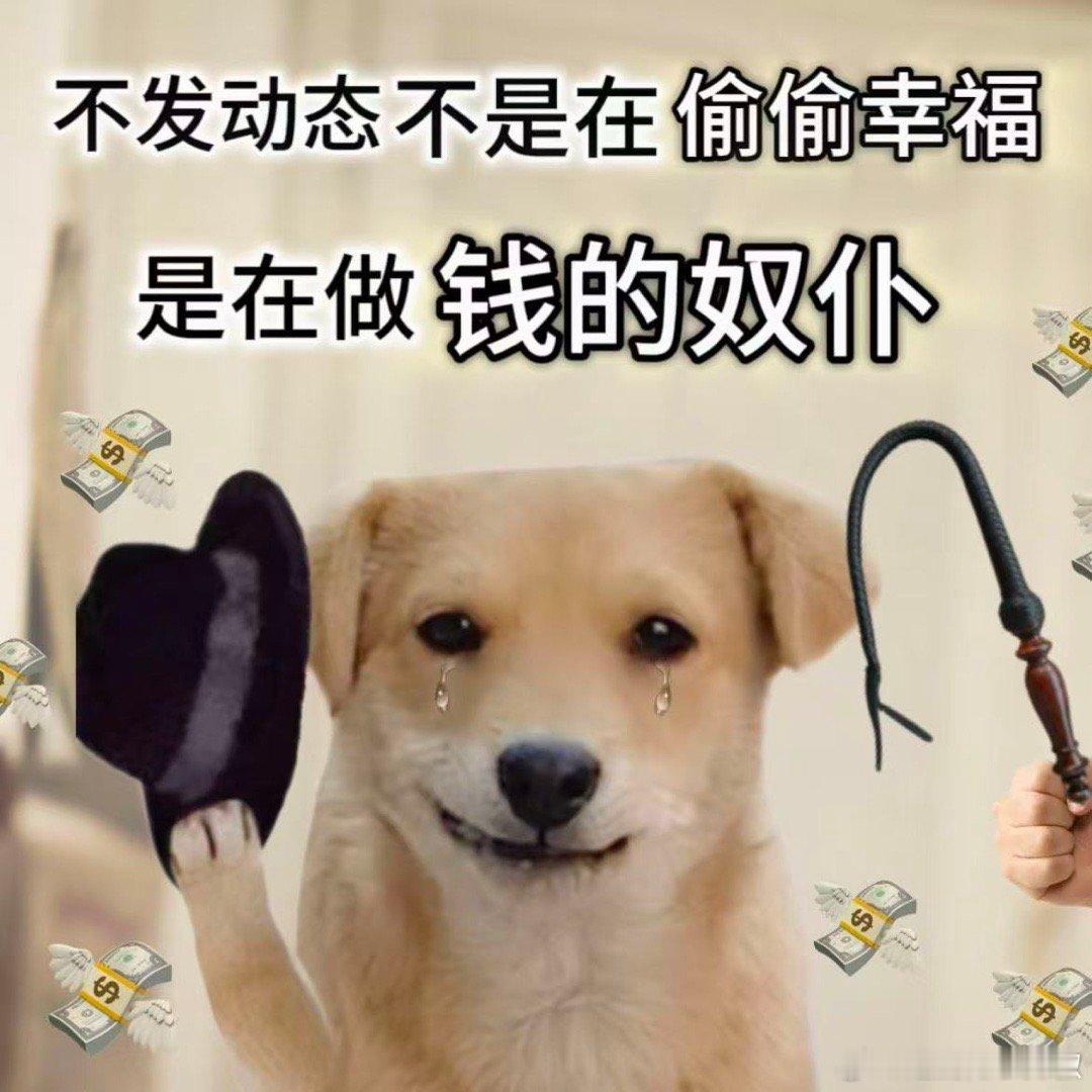如果人生有圈套我希望是省钱四件套00后的省商恐怕在我之上！瞬间感觉之前白花了很多