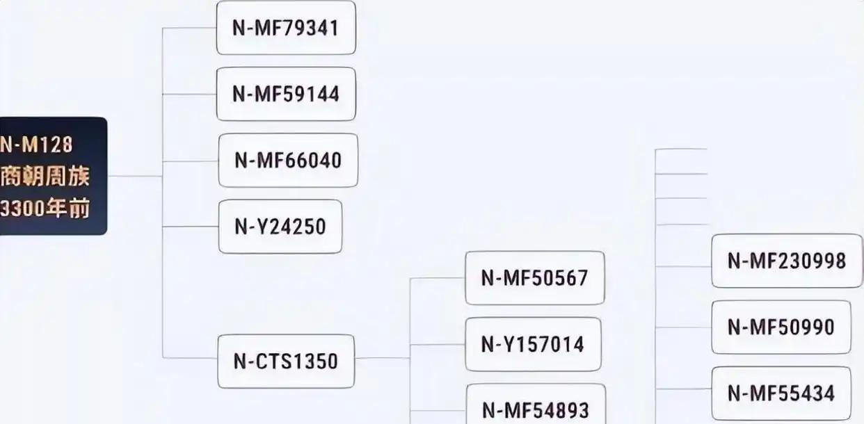 晴雨风说史晴雨风说史 真没想到，西周姬姓贵族基因竟是N系；这结果一出，大家全愣住