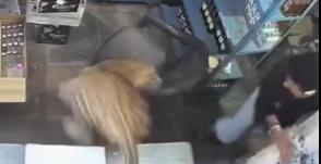 花豹扑咬3人后又突袭酒铺，小伙强行摆脱机智锁门困兽！

根据印度媒体报道，7月2