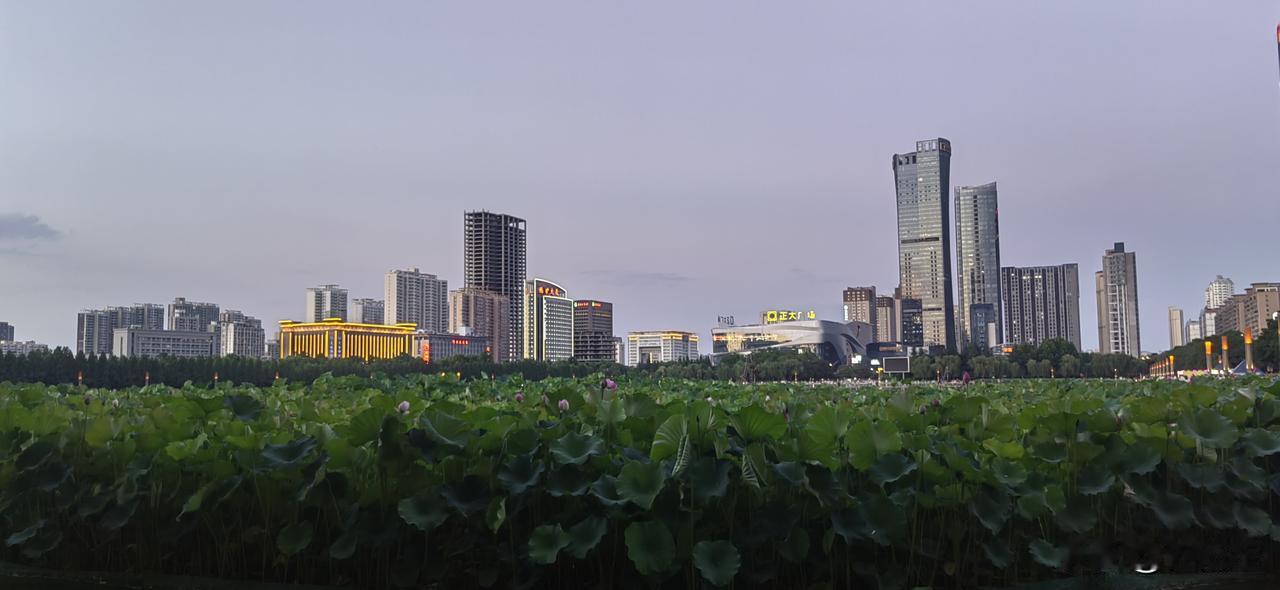 关于跑步，有些话我不得不说。
我的一位朋友，5月24日跑完兰马全马回到家里，早7
