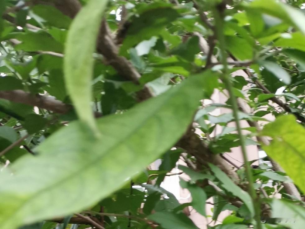 告诉你，世界上不会被儿媳妇欺负的婆婆有四类：
一，有边界感。不随便插手小夫妻的家