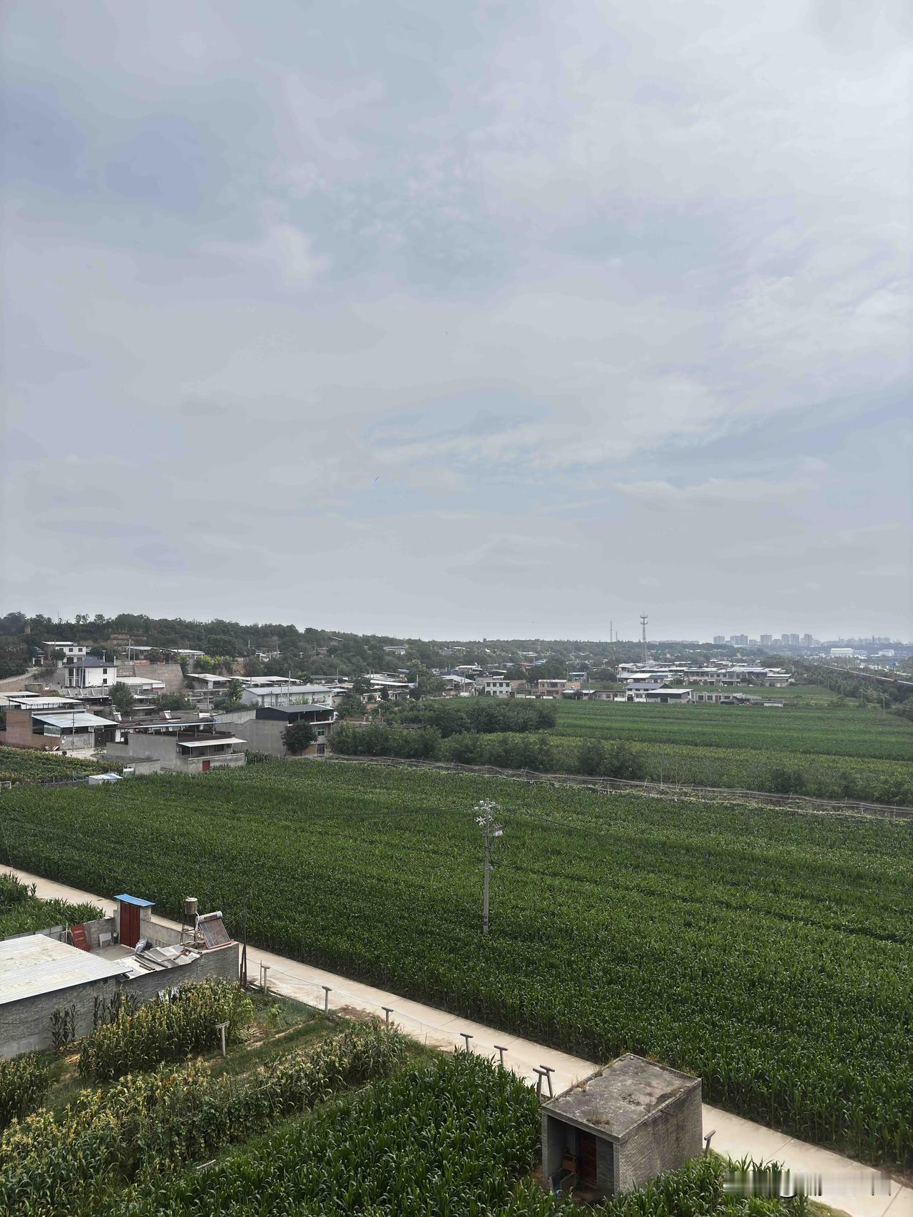 咸阳正阳大道这里，这村子包含九张村、穆家村和后沟村吗？这里地势平坦，离渭河近，位