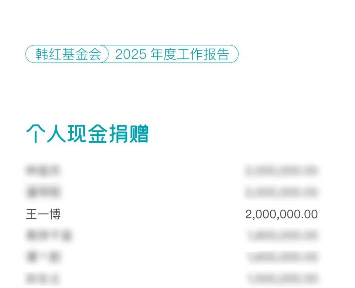 王一博  韩红爱心基金会发布了2025年度报告王一博默默捐款200w，是最多的。