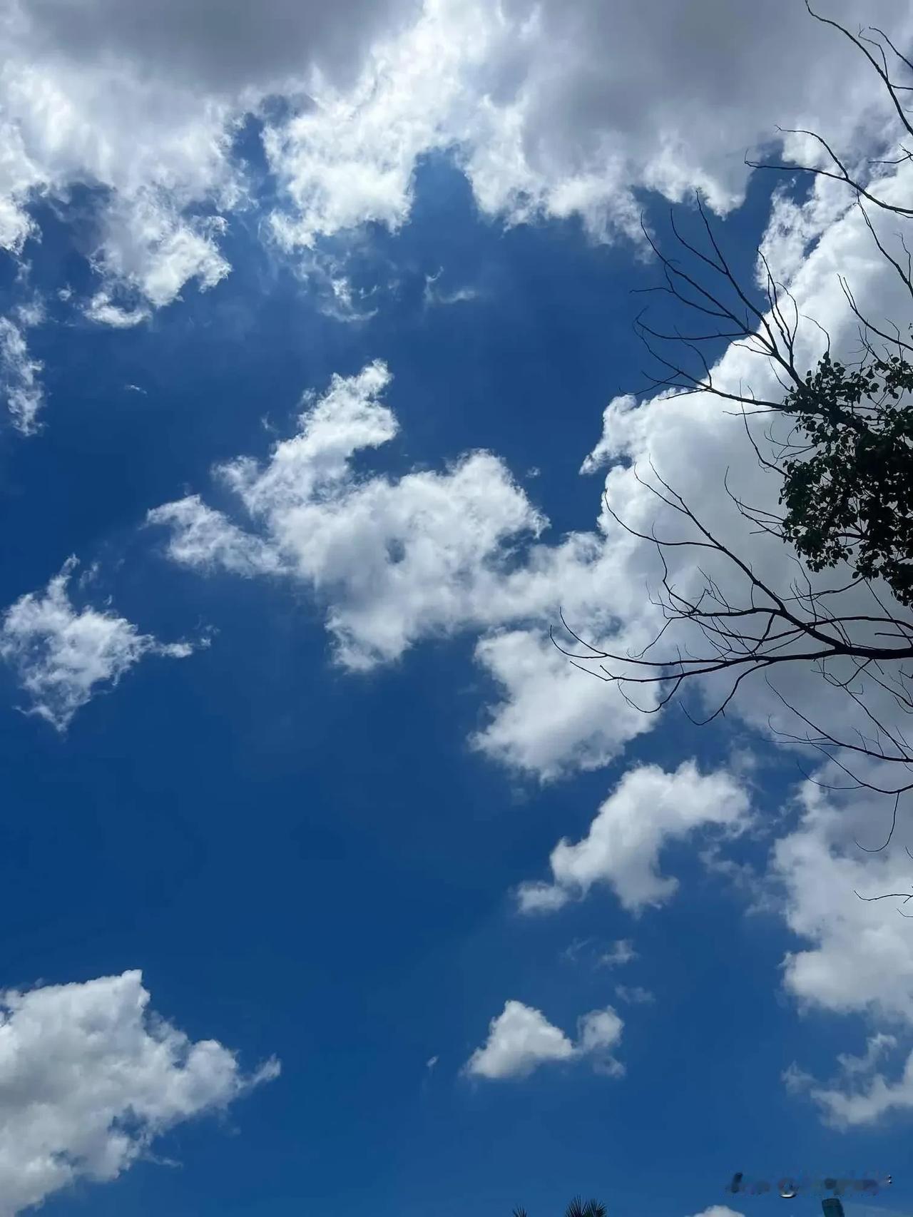 昨天我因为失眠，吃了刺五加片，昨天晚上早早就睡了，睡的哈哈的，啥都不知道！

今
