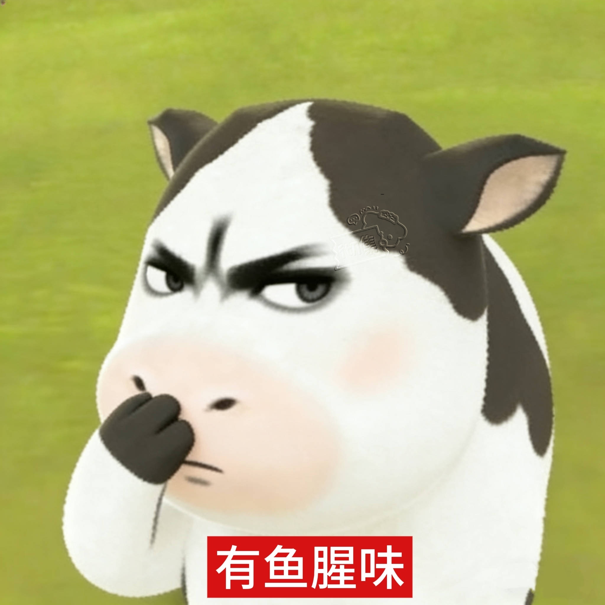 感觉这几天将会是凑凑的 