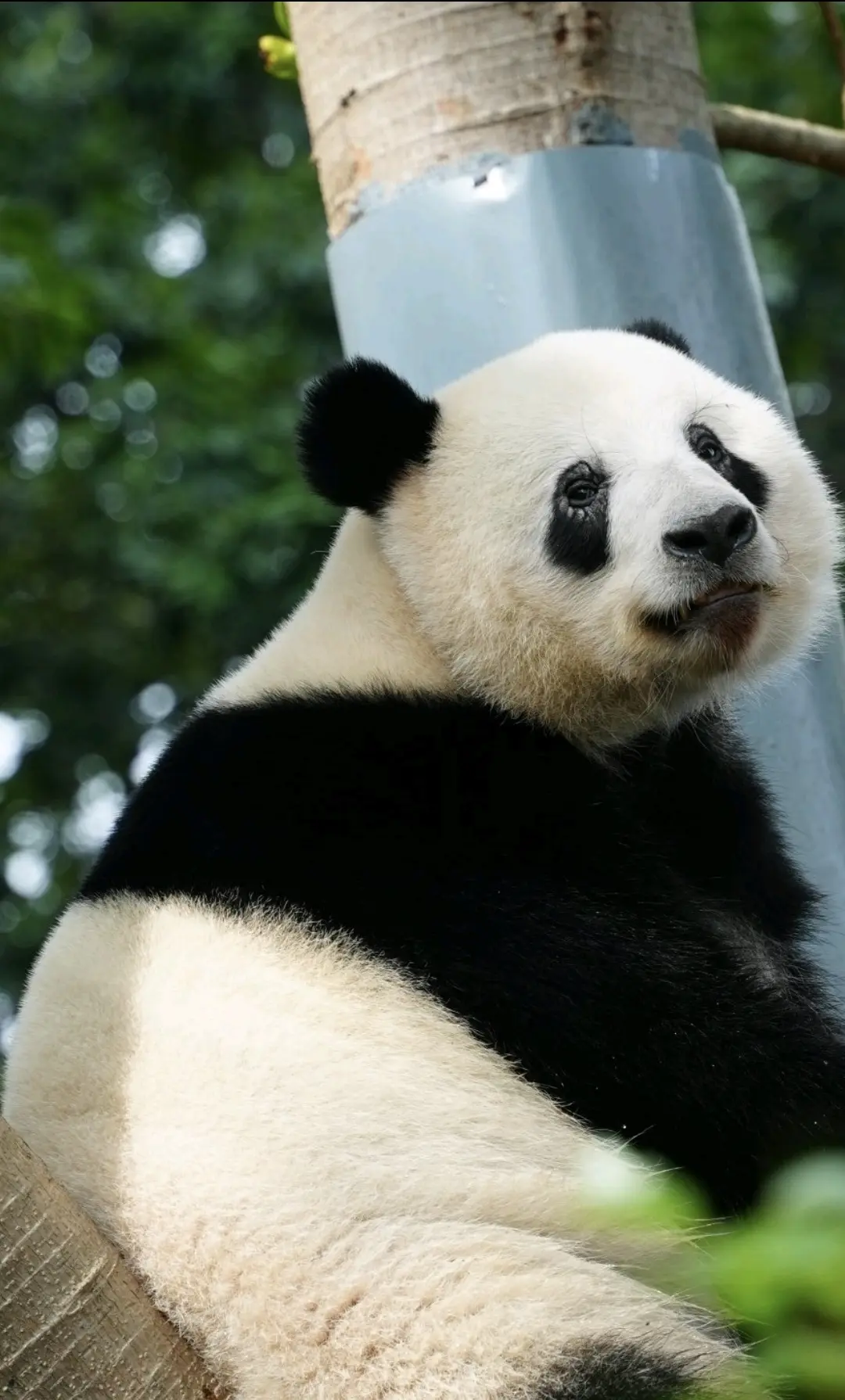 星一：如果注定我无老婆，咁系咪我会有十只手指都数唔晒嘅女朋友？