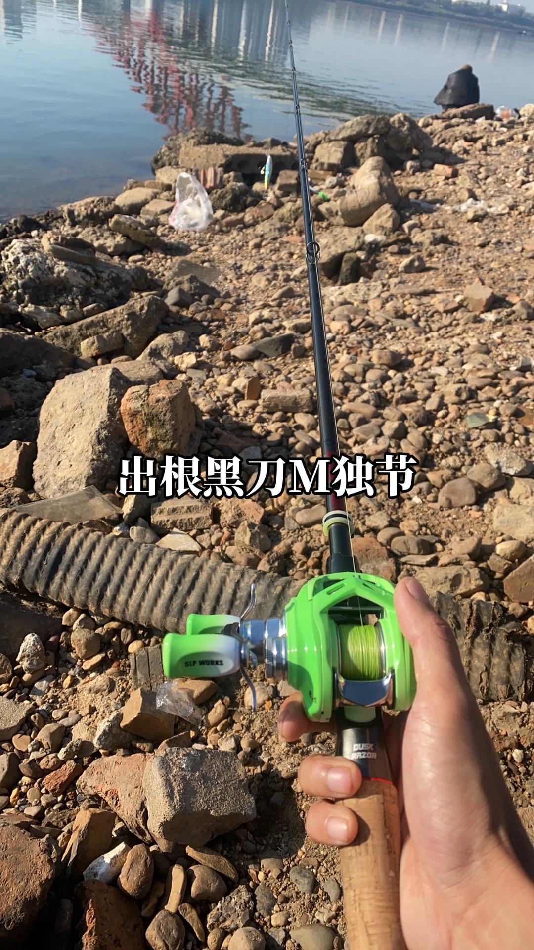 吃灰很久了