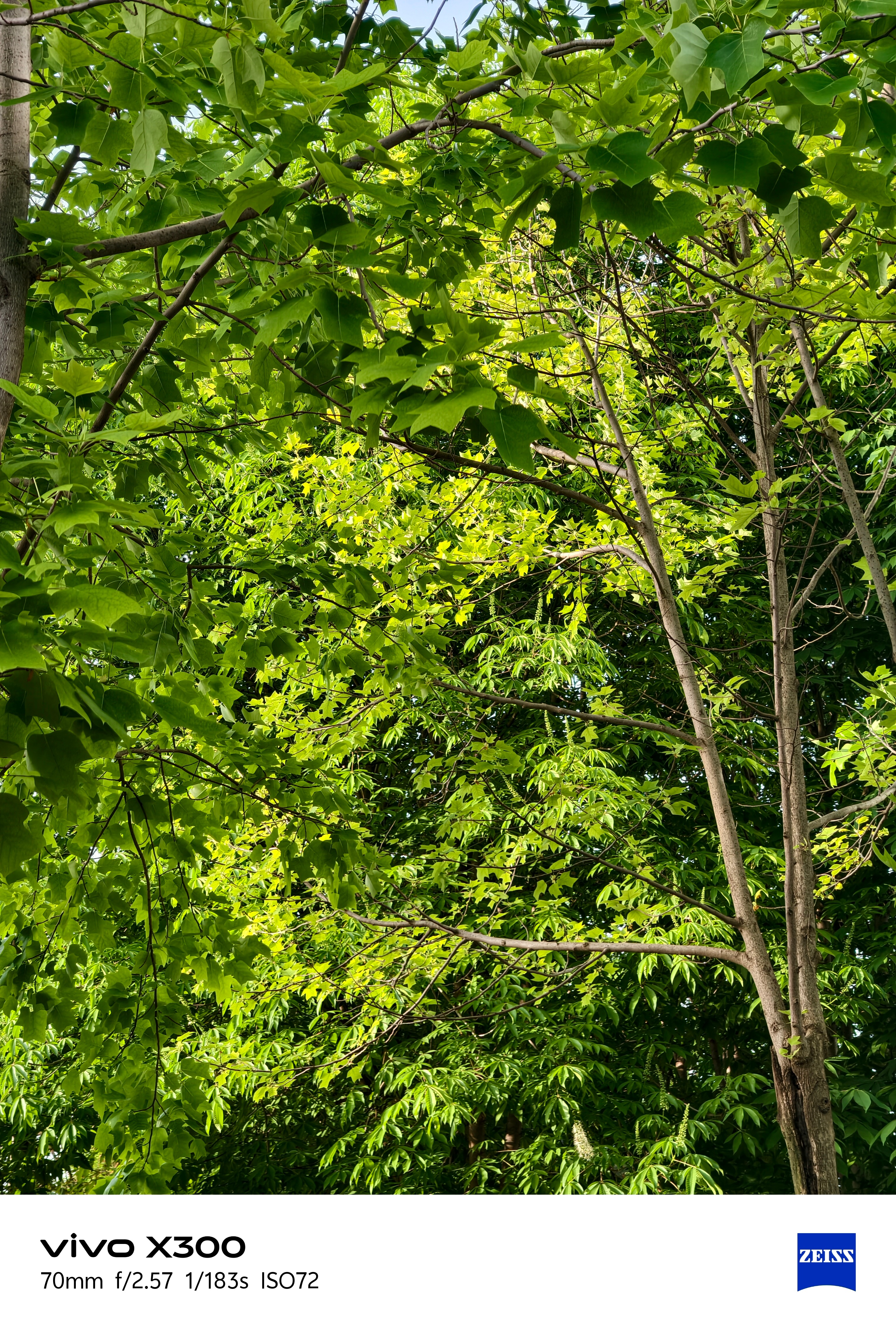 阳光  春天  下班！ 