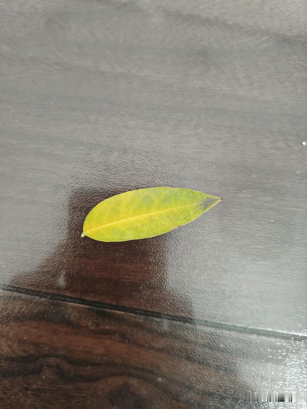 今天降温了，证明冬天来了……