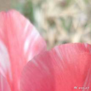 每日一善每日一善 世界因你的态度而美好，你的态度决定你的世界。就如同梭罗所说："