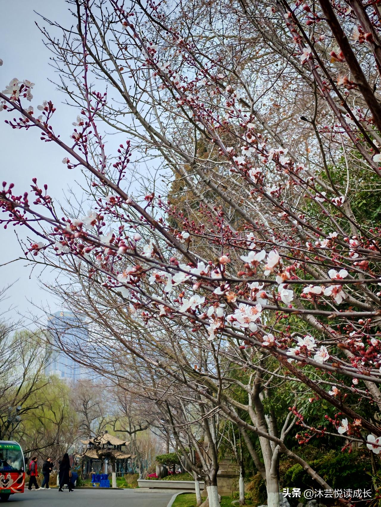 人这一辈子
细想一下
什么才是真的属于你
 
钱
挣得再多
走的时候带不走一分