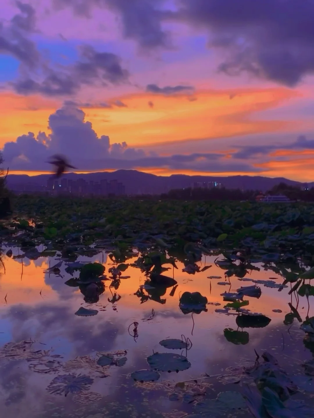 免费的8️⃣个点位承包一整个昆明的浪漫