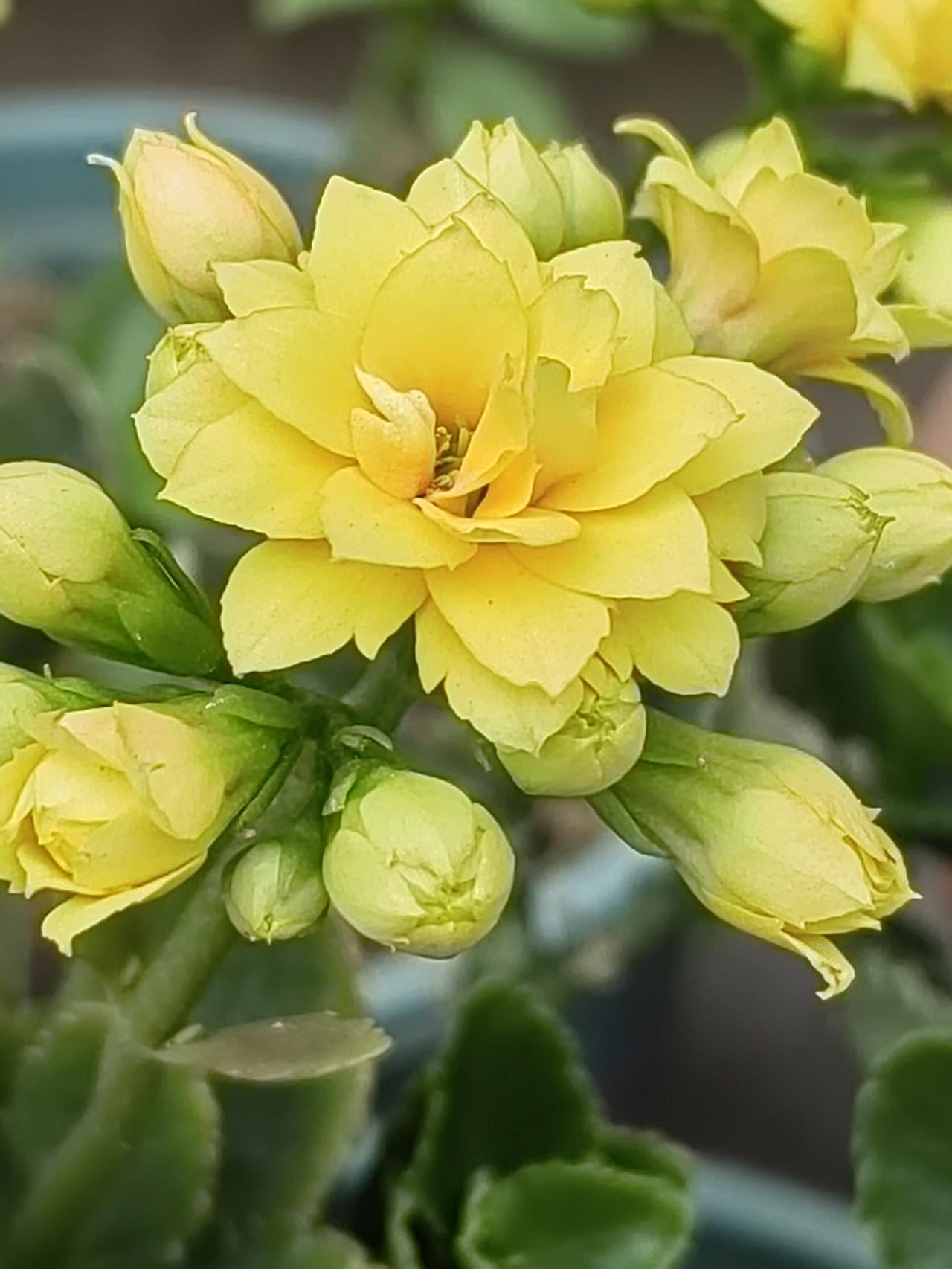 2000年以前，农村温饱已足，收入却不尽如人意，只有少部分人家经济宽裕。
一户做