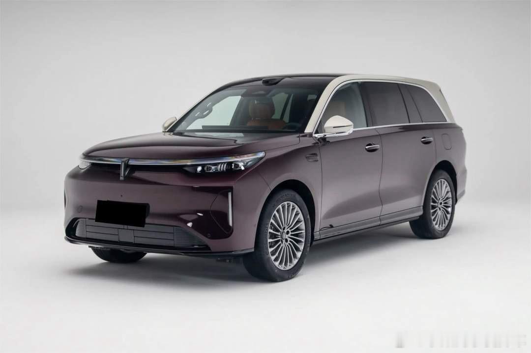 大V聊车汽场全开 想想昨天就有5款新车上市分别是零跑D19、智己LS8、大众与众