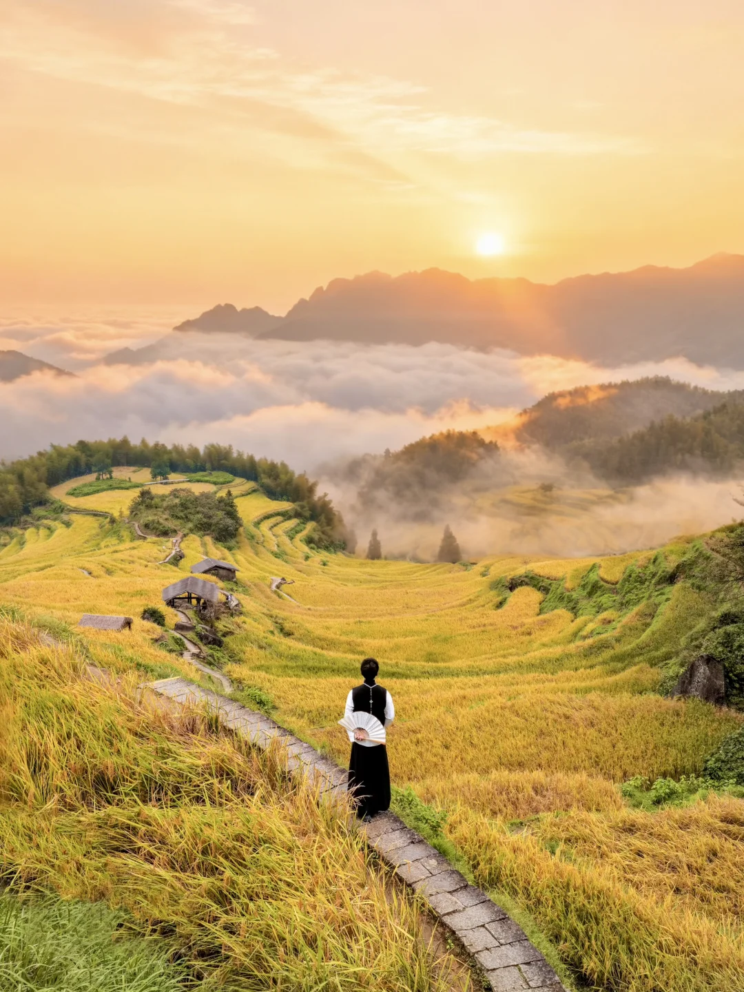 清晨6点的梯田治愈我一年！附拍照机位全攻略