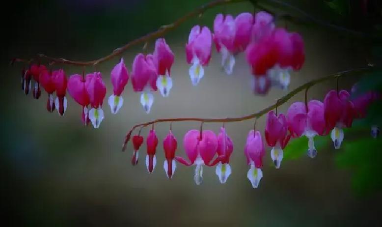 人生这趟旅程，酸甜苦辣一样都不能少，生老病死更是谁都绕不开的终点站。

追梦的时