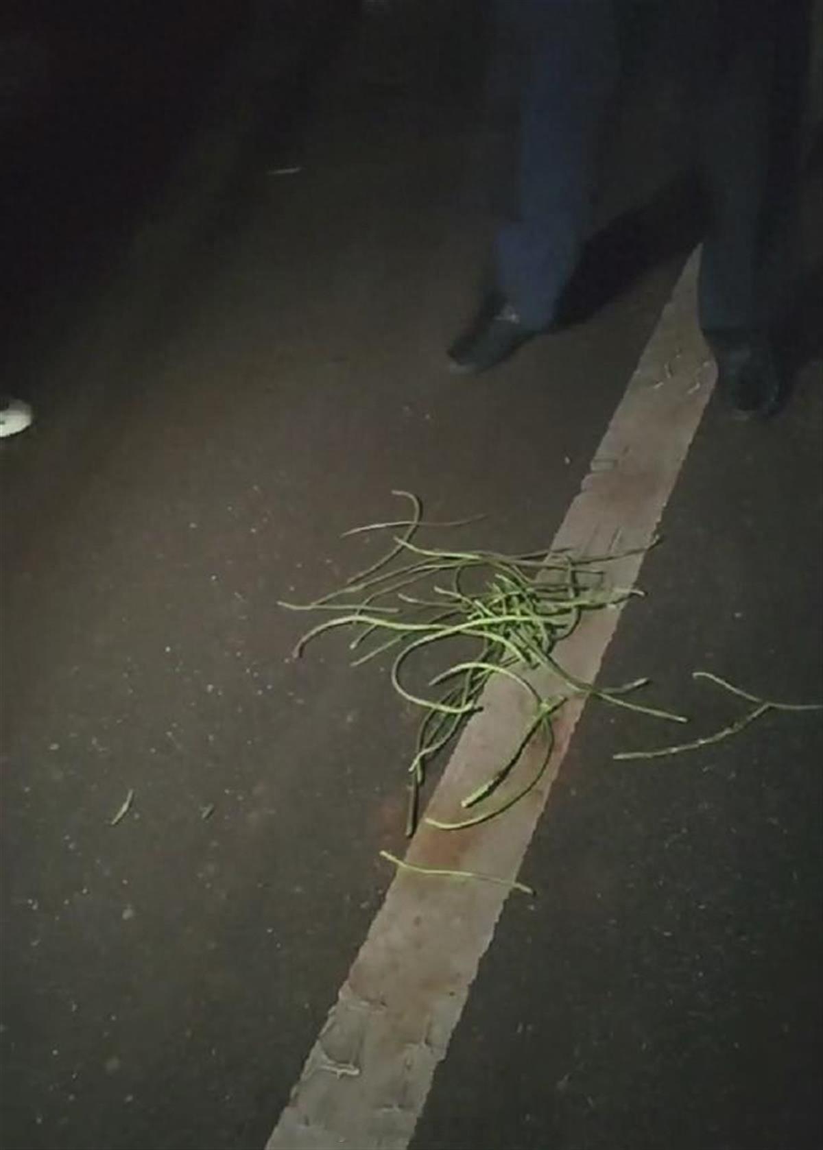 #2名公务员偷摘豆角与村民肢体冲突# 近日，有网友发帖称，湖南衡阳常宁市两公职人