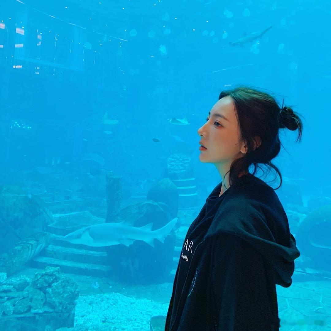 🌊 