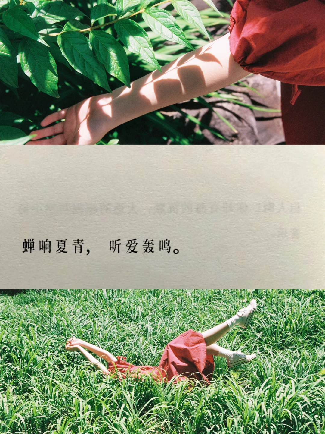 一组夏天味很浓的照片