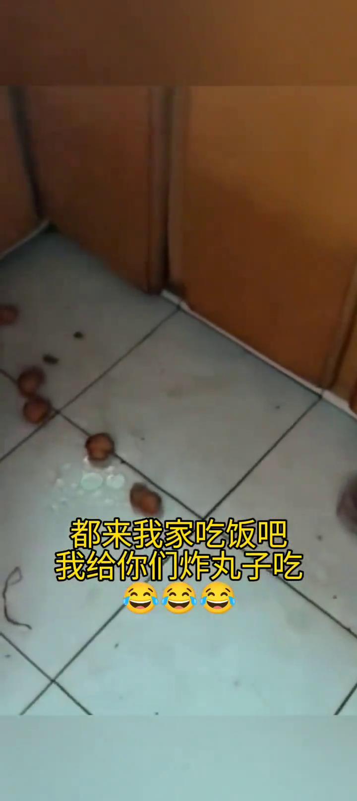 都来我家吃饭吧，我给你们炸丸子吃。