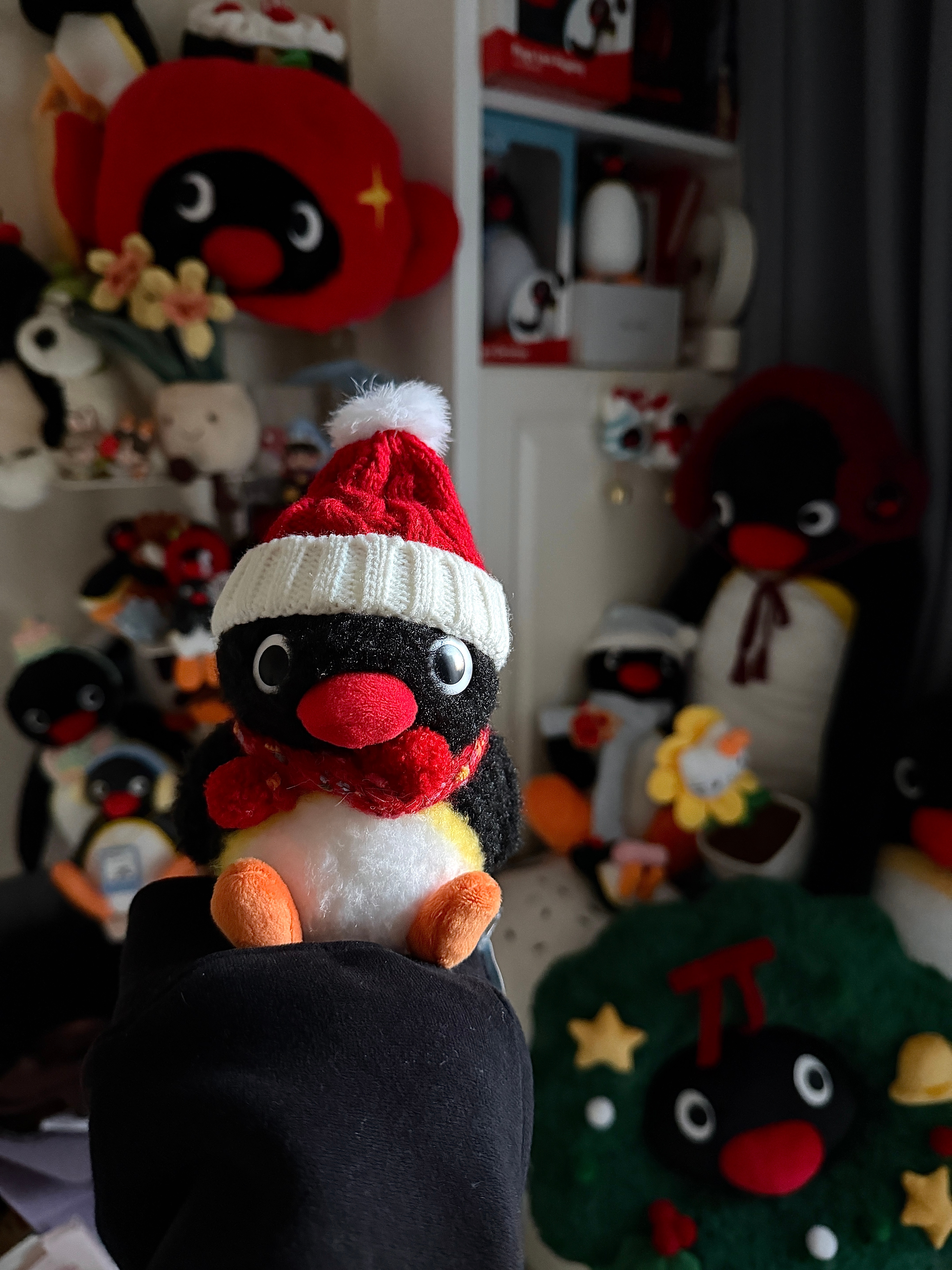 管你们代言什么 专注pingu🐧 