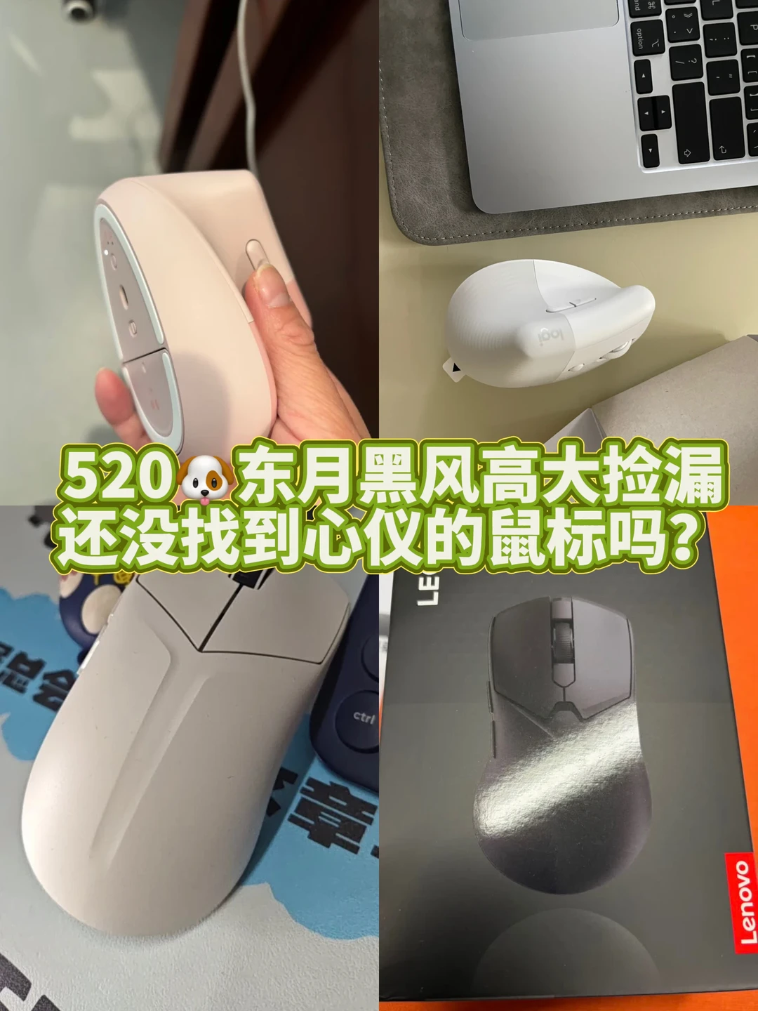 520  🐳东月黑风高神车来了！！