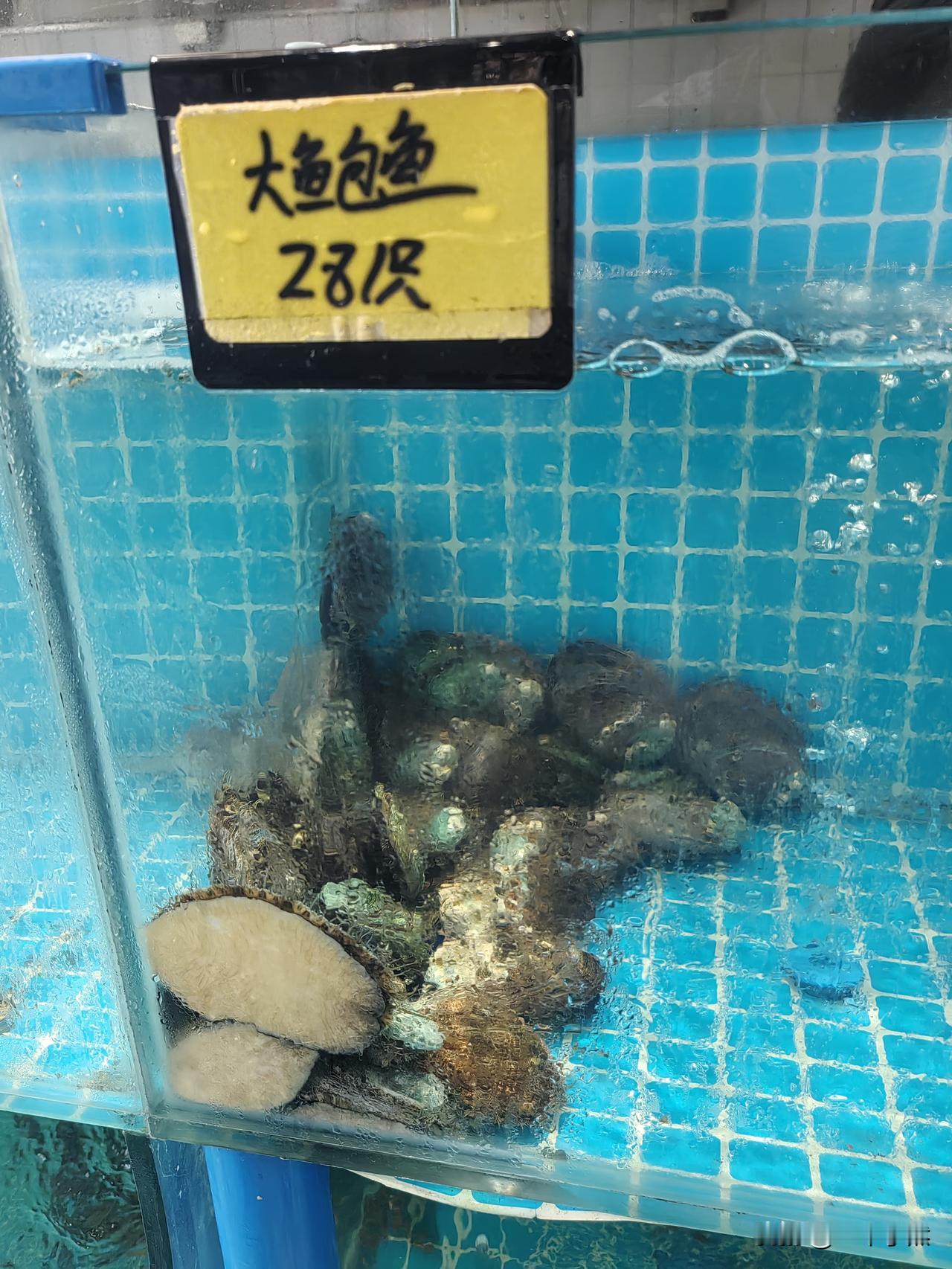 这是28一只？还是281每只？我这个景区拍的！！[大笑][大笑]