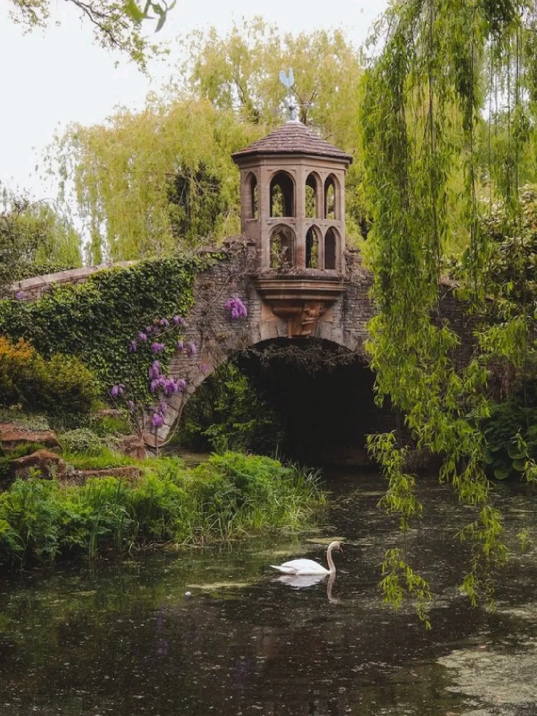 伦敦周边半小时💐超惬意的公园 世外桃源！