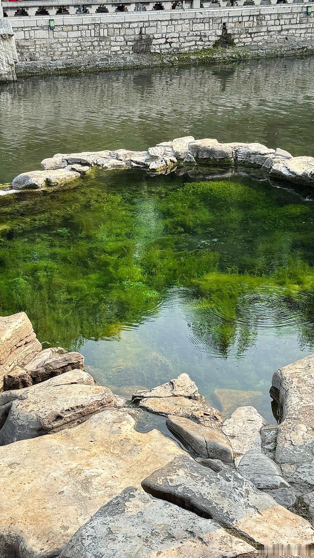 穿着拖鞋，租辆电瓶，闲逛的一天来到了老舍笔下的济南看到了清澈的泉，还有还珠格格里