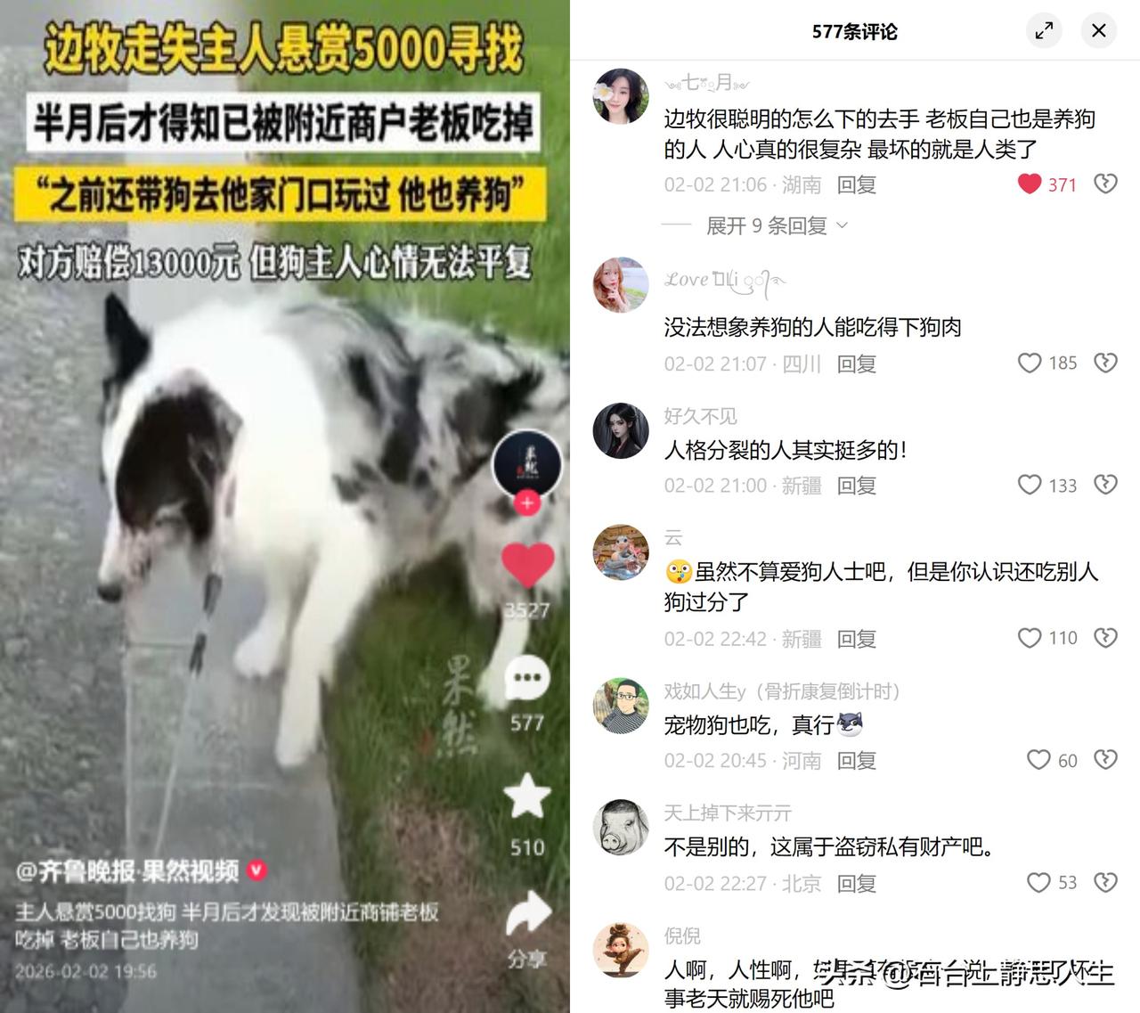 养着狗的人，吃了别人的狗

中山一位狗主悬赏寻边牧，折腾半个月才知道，狗早被