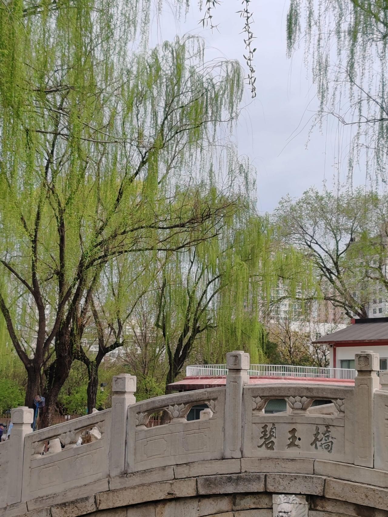 春日生活打卡季春天随手拍。