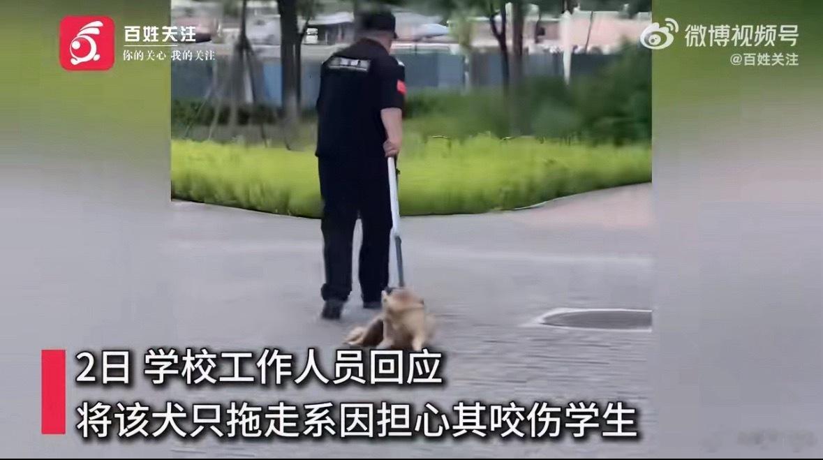 流浪狗校内产崽被保安拖走狗咬伤人，保安失职，开除保安。把狗拖走，爱狗人士不乐意，