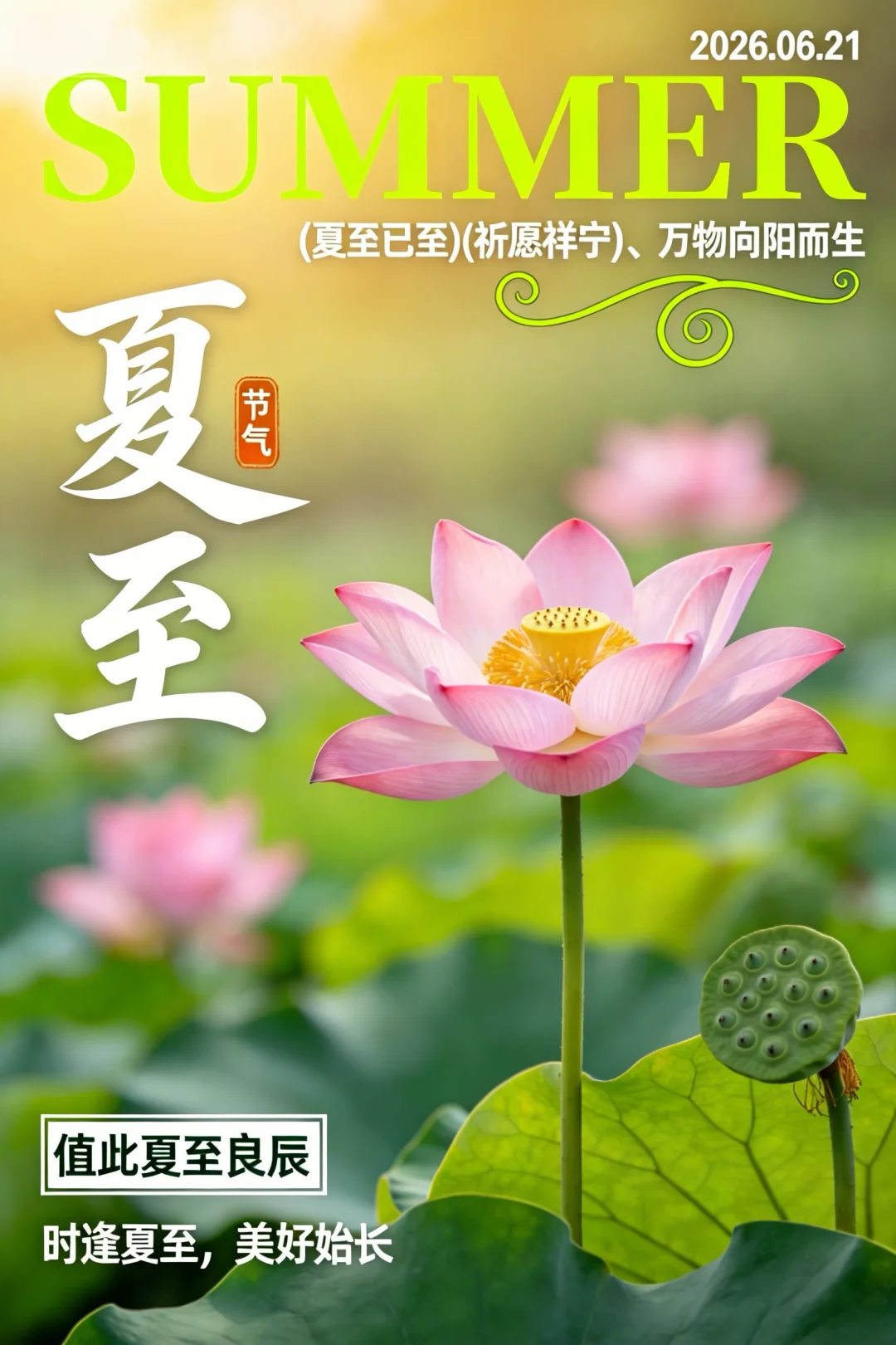 2026夏至节气图片海报壁纸