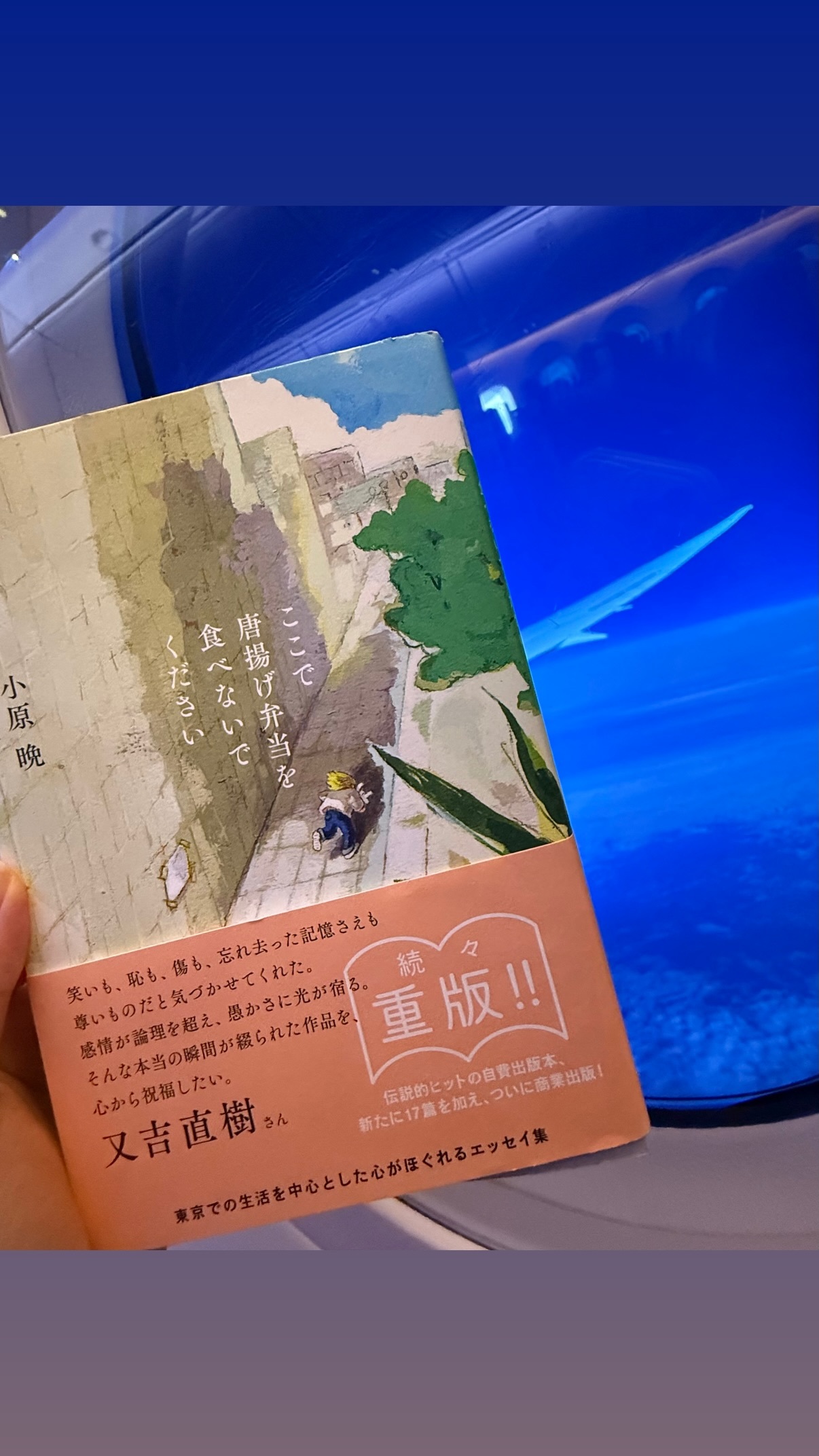 与田祐希