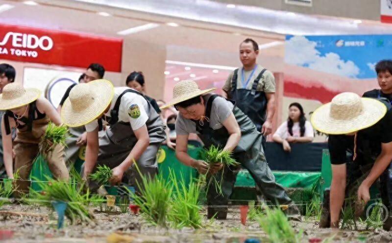 宁波一家商场搞了个插秧比赛，把40吨泥土运到商场里，在室内弄出一片水田，让城里人