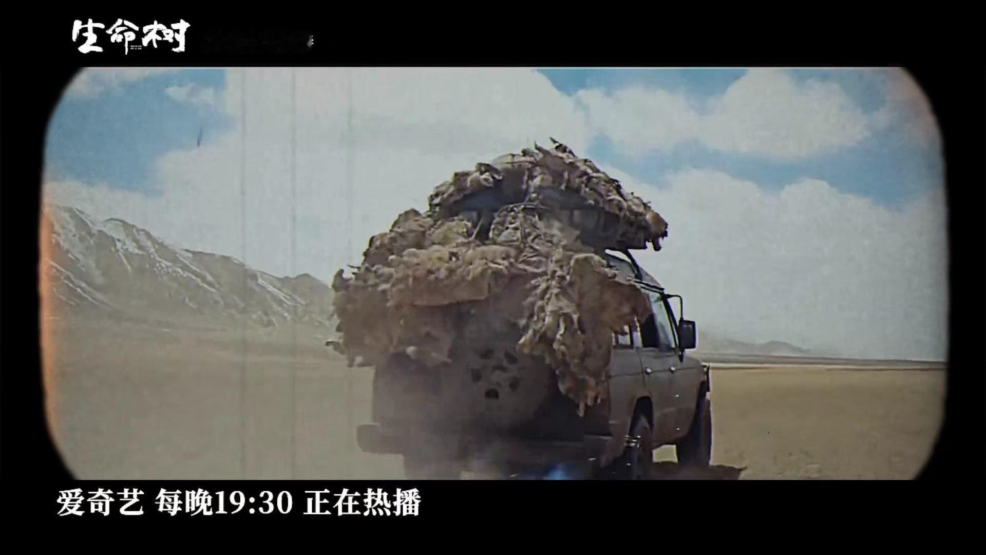 2026年无人区今非昔比了电视剧生命树以前只听说可可西里很美，看《生命树》才懂得