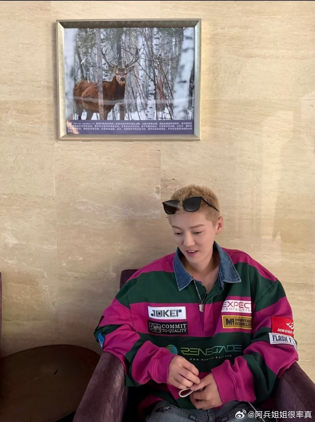 鹿晗鹿晗哈哈哈哈哈鹿晗gapday音乐节世间安稳，岁月清宁，以一鹿之念，安静追逐
