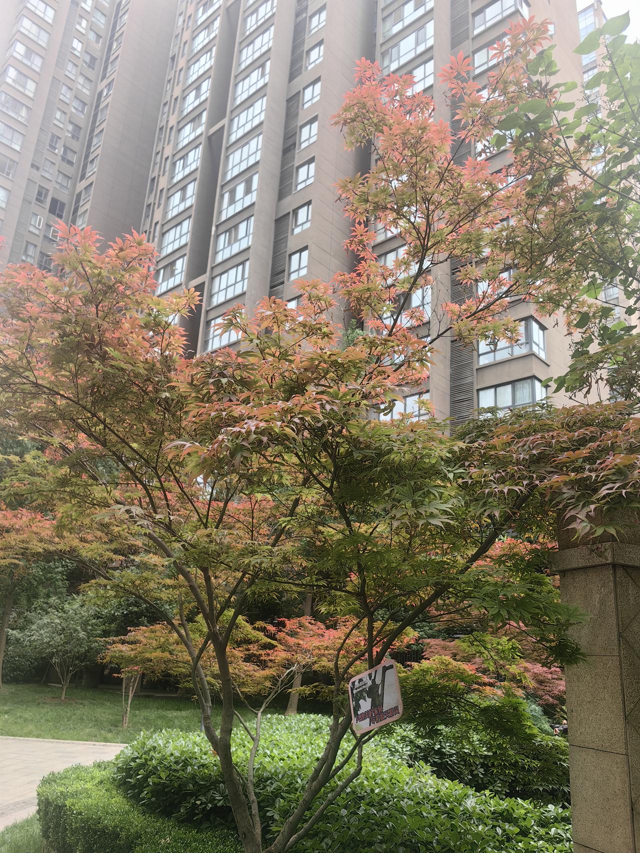 孩子跟谁姓重要，还是教育好孩子重要？

邻居王姐家有一个独生女，女儿和女婿都很优