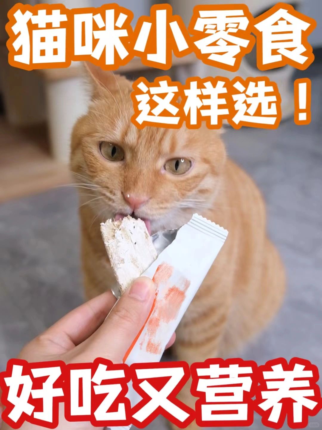 选择猫零食的秘诀，让你的猫咪爱不释手！