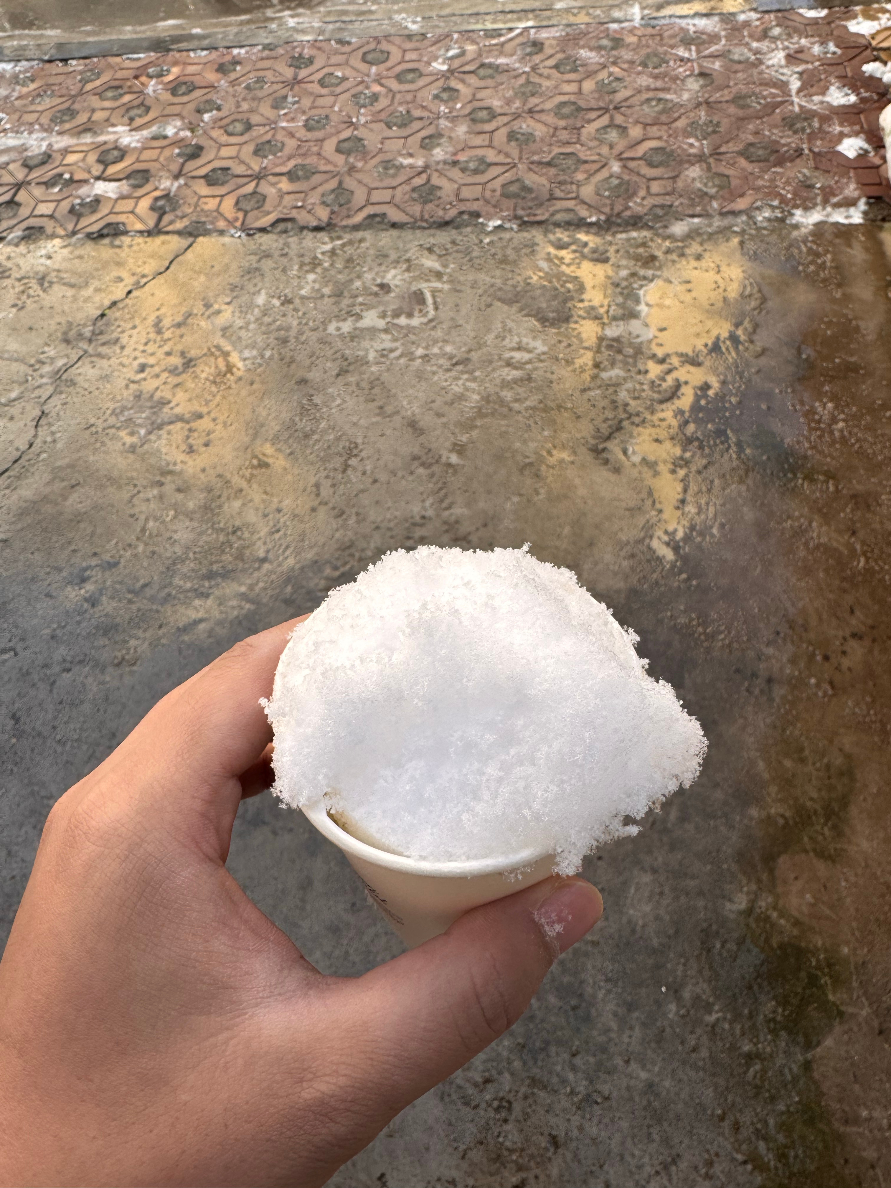 冬天的第一杯雪 