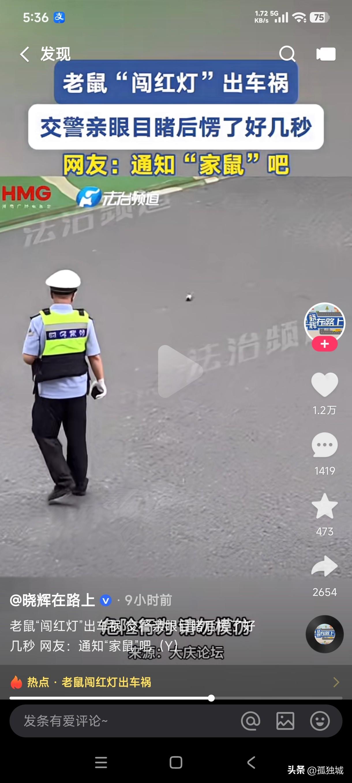 交警执法几十年第一次见老鼠闯红灯，而且还出车祸死了，交警目睹整个过程后还楞了几秒
