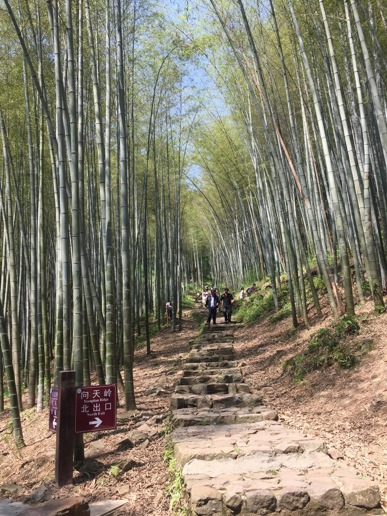上联：细雨蒙蒙润花海，
下联：清风渺渺拂竹林。