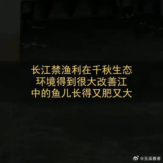 《长江禁渔，利在千秋！生态环境得到很大改善，江中的鱼儿长得又肥又大》播放量：32