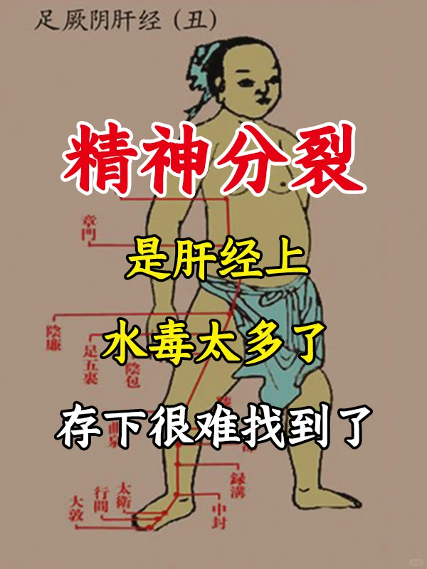 精神分裂是肝经上水毒太多，清清毒很难找到