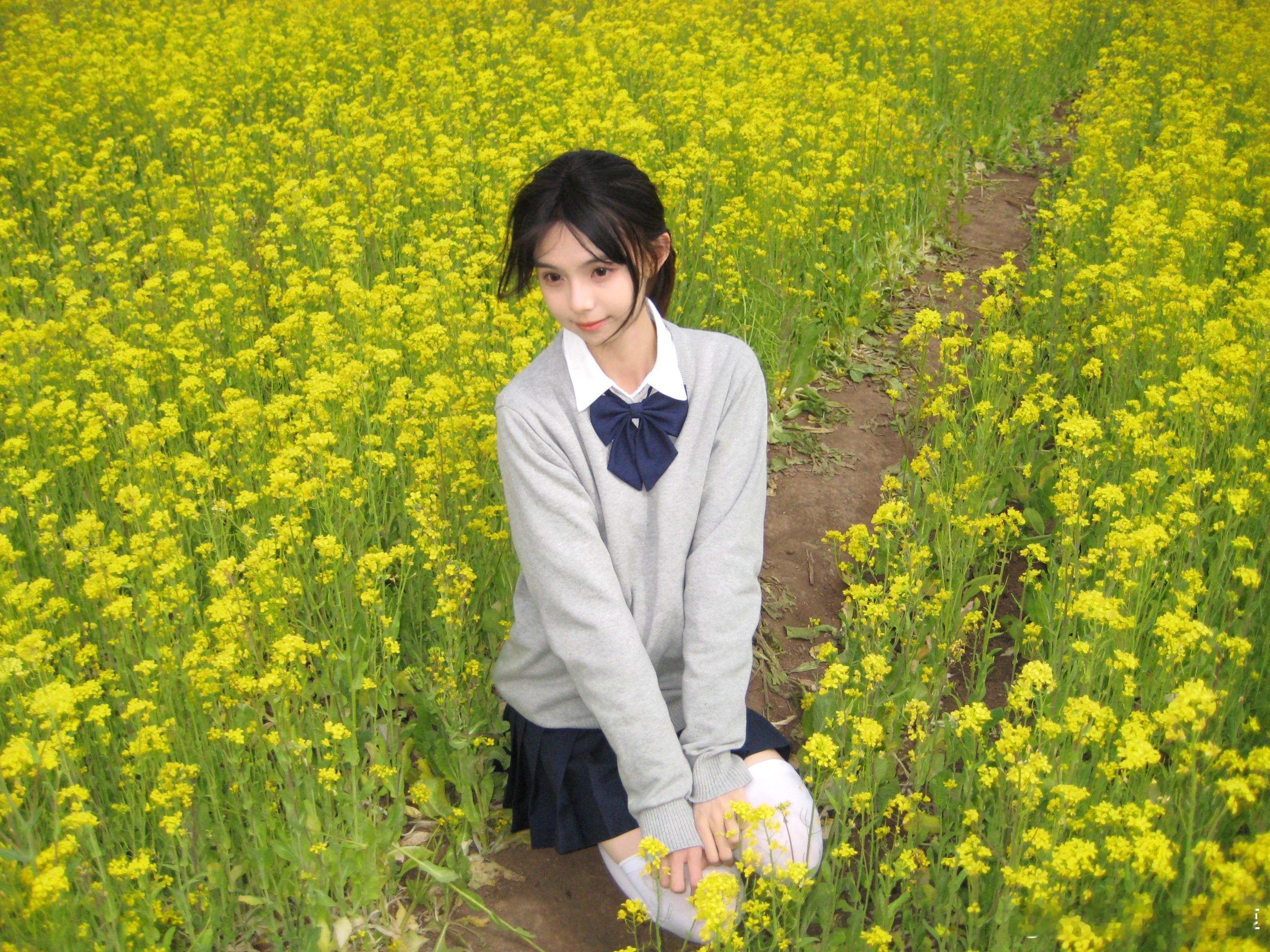 故事里的小黄花 ​​​