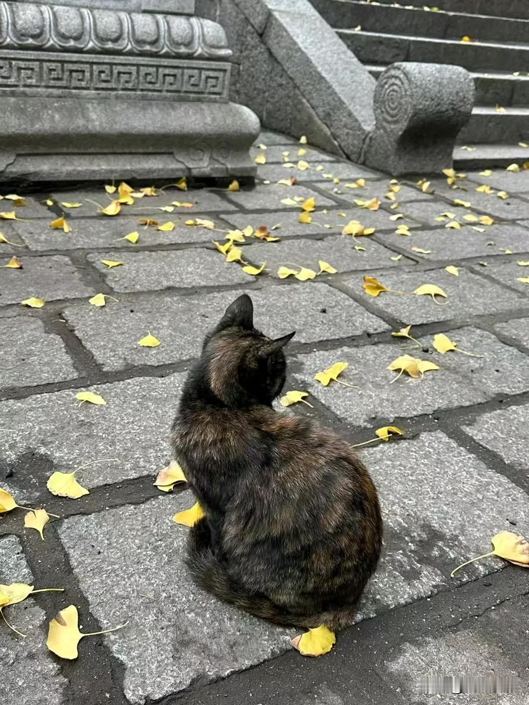 Nothing in life can make us more confide