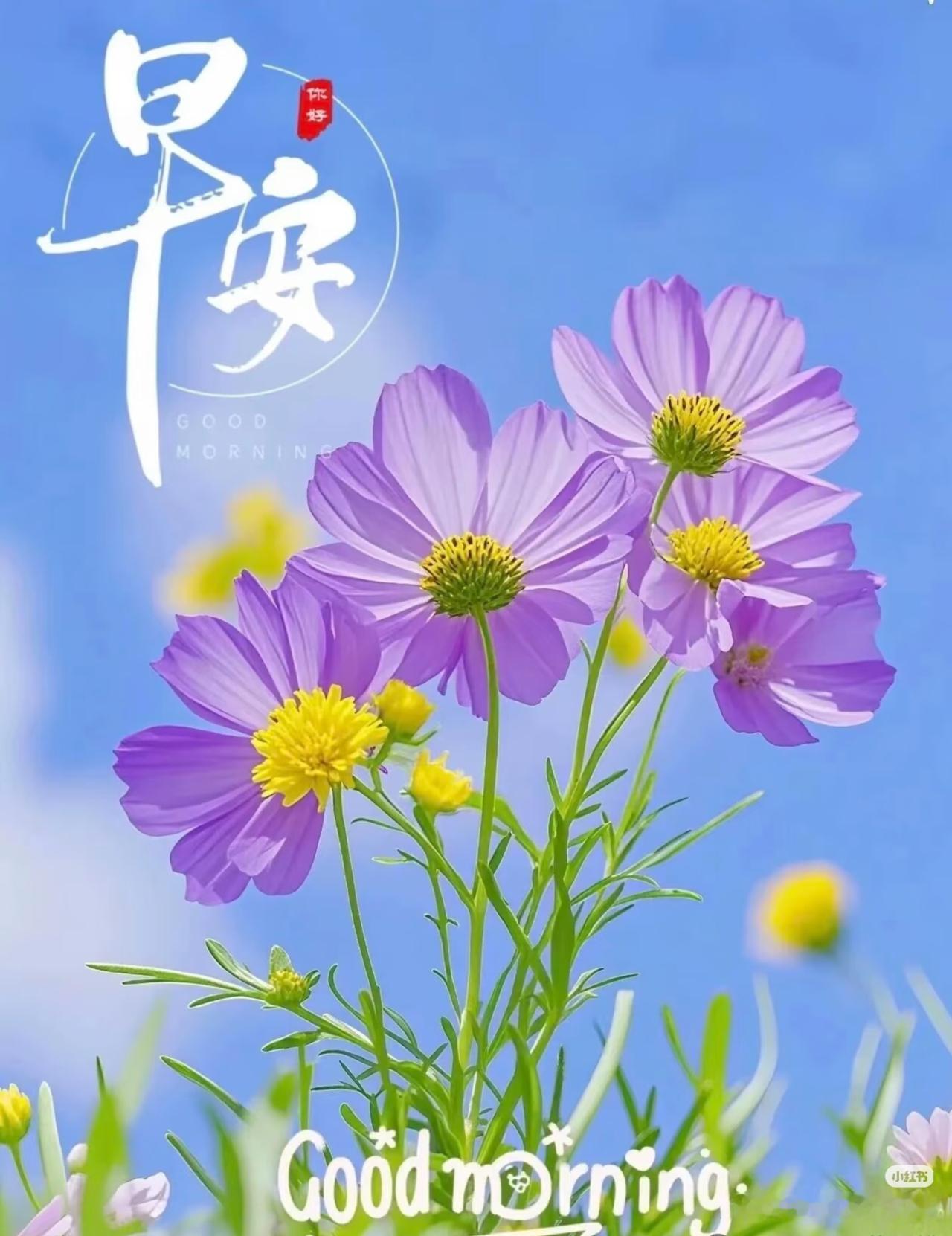 早上好，今天是10月19日星期一。
昨天U19女排休赛，今天下午13点天津U19