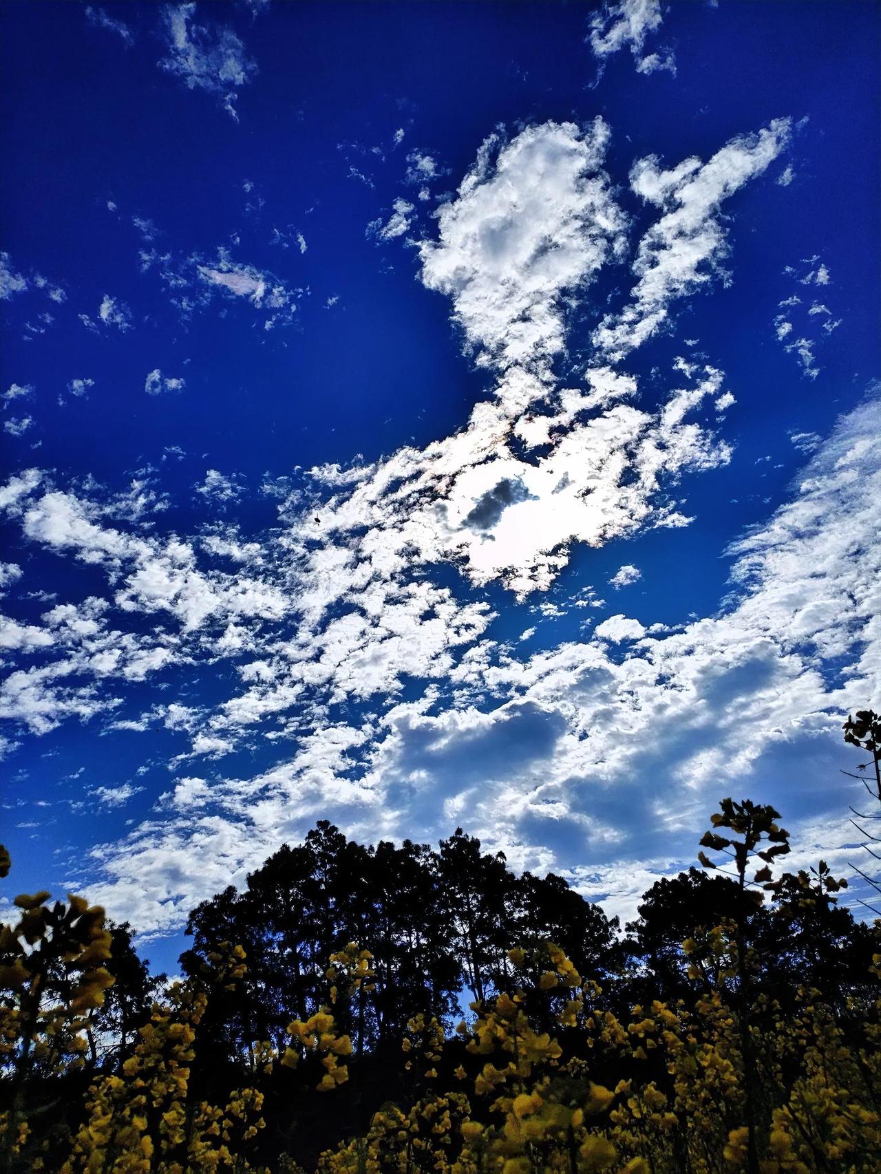 云卷千山外，花开万里间。近期随手拍下的这张照片中，云朵宛如灵动的仙子，在千山之外
