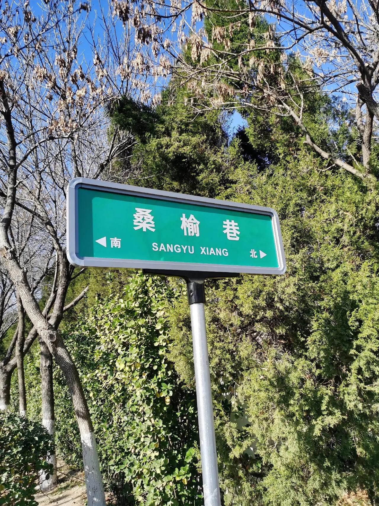 不查导航，你知道这个巷子在东营哪里嘛？